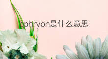 ophryon是什么意思 ophryon的中文翻译、读音、例句