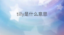 tilly是什么意思 tilly的中文翻译、读音、例句
