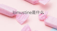 lomustine是什么意思 lomustine的中文翻译、读音、例句
