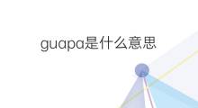 guapa是什么意思 guapa的中文翻译、读音、例句