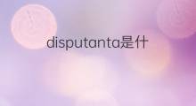 disputanta是什么意思 disputanta的中文翻译、读音、例句