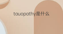 tauopathy是什么意思 tauopathy的翻译、读音、例句、中文解释