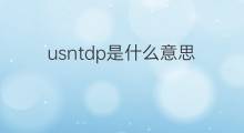 usntdp是什么意思 usntdp的中文翻译、读音、例句