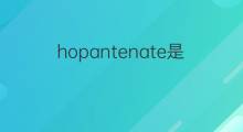 hopantenate是什么意思 hopantenate的中文翻译、读音、例句