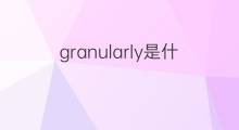 granularly是什么意思 granularly的中文翻译、读音、例句