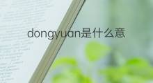 dongyuan是什么意思 dongyuan的中文翻译、读音、例句