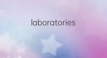laboratories是什么意思 laboratories的中文翻译、读音、例句