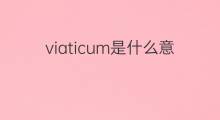 viaticum是什么意思 viaticum的中文翻译、读音、例句