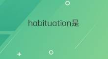 habituation是什么意思 habituation的中文翻译、读音、例句
