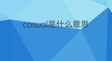 casual是什么意思 casual的中文翻译、读音、例句
