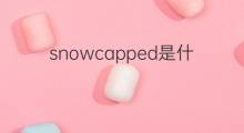 snowcapped是什么意思 snowcapped的中文翻译、读音、例句