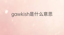 gawkish是什么意思 gawkish的中文翻译、读音、例句