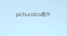 pichucalco是什么意思 pichucalco的中文翻译、读音、例句