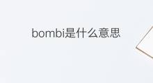 bombi是什么意思 bombi的中文翻译、读音、例句