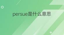 persue是什么意思 persue的中文翻译、读音、例句
