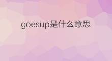 goesup是什么意思 goesup的中文翻译、读音、例句