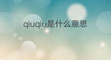 qiuqiu是什么意思 qiuqiu的中文翻译、读音、例句