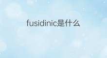 fusidinic是什么意思 fusidinic的中文翻译、读音、例句