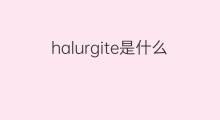 halurgite是什么意思 halurgite的中文翻译、读音、例句
