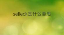 selleck是什么意思 英文名selleck的翻译、发音、来源