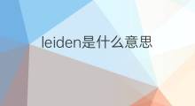 leiden是什么意思 leiden的中文翻译、读音、例句