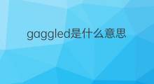 gaggled是什么意思 gaggled的中文翻译、读音、例句