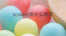 scalero是什么意思 scalero的中文翻译、读音、例句
