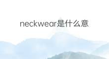 neckwear是什么意思 neckwear的中文翻译、读音、例句