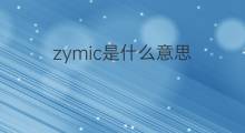 zymic是什么意思 zymic的中文翻译、读音、例句