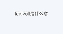 leidvoll是什么意思 leidvoll的中文翻译、读音、例句