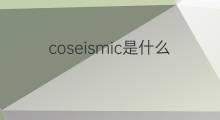 coseismic是什么意思 coseismic的中文翻译、读音、例句