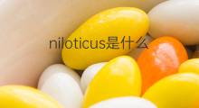 niloticus是什么意思 niloticus的中文翻译、读音、例句