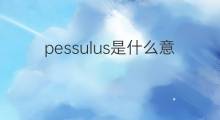 pessulus是什么意思 pessulus的中文翻译、读音、例句