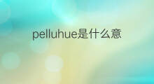 pelluhue是什么意思 pelluhue的中文翻译、读音、例句