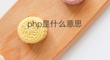 php是什么意思 php的中文翻译、读音、例句