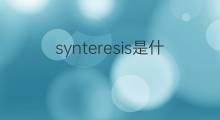 synteresis是什么意思 synteresis的中文翻译、读音、例句