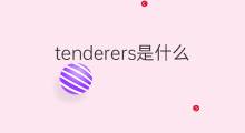 tenderers是什么意思 tenderers的中文翻译、读音、例句