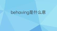 behaving是什么意思 behaving的中文翻译、读音、例句