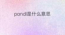 pandl是什么意思 pandl的中文翻译、读音、例句