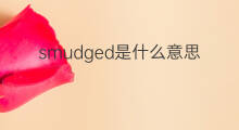smudged是什么意思 smudged的中文翻译、读音、例句