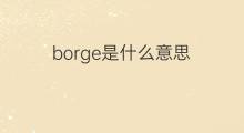 borge是什么意思 borge的中文翻译、读音、例句