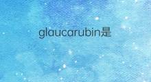 glaucarubin是什么意思 glaucarubin的中文翻译、读音、例句