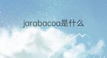 jarabacoa是什么意思 jarabacoa的翻译、读音、例句、中文解释