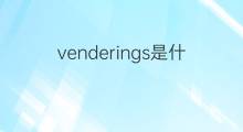 venderings是什么意思 venderings的中文翻译、读音、例句