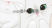 uvp是什么意思 uvp的中文翻译、读音、例句