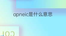 apneic是什么意思 apneic的中文翻译、读音、例句