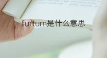 furtum是什么意思 furtum的中文翻译、读音、例句