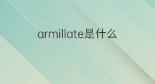 armillate是什么意思 armillate的中文翻译、读音、例句