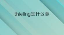 thieling是什么意思 thieling的中文翻译、读音、例句