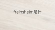 freinsheim是什么意思 freinsheim的中文翻译、读音、例句